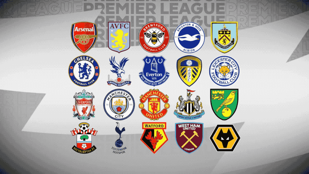 能联动试探 能联动试探